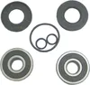 WSM Jet Pump Bearings Seals Rebuild Repair Kit for Kawasaki Jet Ski 550 SX