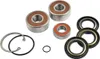 WSM Jet Pump Bearings Seals Rebuild Repair Kit for Kawasaki Jet Ski SXR STX15F