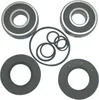 WSM Jet Pump Bearings Seals Rebuild Repair Kit for Polaris PWC 650-1200