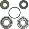 WSM Jet Pump Bearings Seals Rebuild Repair Kit for Yamaha WaveRunner 1100