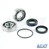 WSM Jet Pump Bearings Seals Rebuild Repair Kit for Yamaha WaveRunner FX140