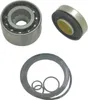 WSM Jet Pump Bearings Seals Rebuild Repair Kit for Sea-Doo GTX 1503
