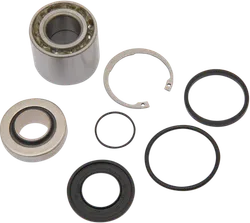 WSM Jet Pump Bearings Seals Rebuild Repair Kit for Sea-Doo Spark