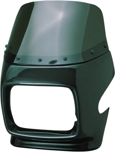 Maier Large Rectangle GP Sport Fairing w Smoke Windshield