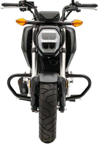 Cobra Black Freeway Case Engine Guard Bar