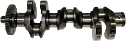 WSM Engine Crankshaft Crank Shaft for Sea-Doo GTX RXP RXT