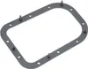 Harddrive Fuel Pump Door Gasket