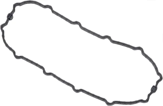 Harddrive Fuel Pump Door Gasket