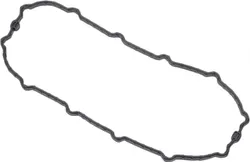 Harddrive Fuel Pump Door Gasket