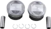 DS Piston Kit 3.875in Std Bore 10.25:1