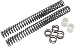 Progressive Suspension Front Fork Lowering Kit 1in 49mm