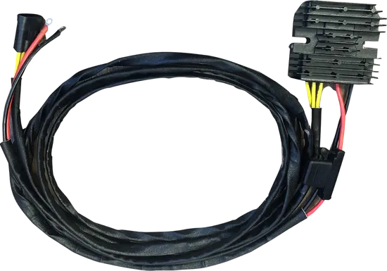 Rick's Hot Shot Rectifier Regulator