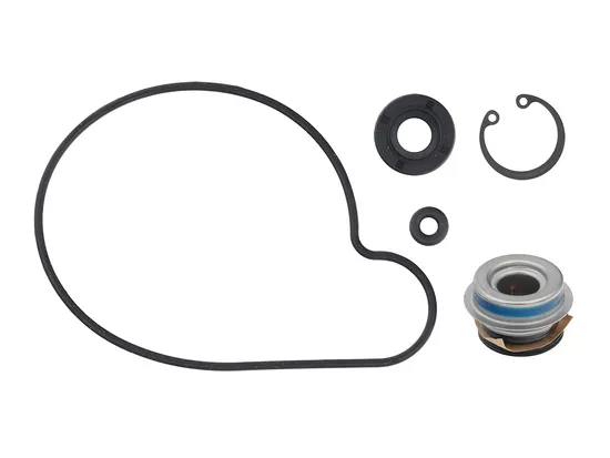 SP1 Water Pump Repair Rebuild Kit