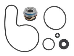 SP1 Water Pump Repair Rebuild Kit