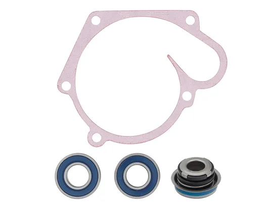 SP1 Water Pump Repair Rebuild Kit