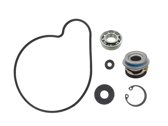 SP1 Water Pump Repair Rebuild Kit