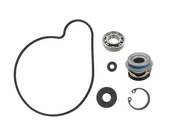 SP1 Water Pump Repair Rebuild Kit