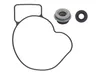 SP1 Water Pump Repair Rebuild Kit