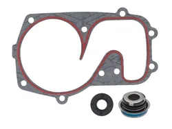 SP1 Water Pump Repair Rebuild Kit