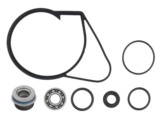 SP1 Water Pump Repair Rebuild Kit