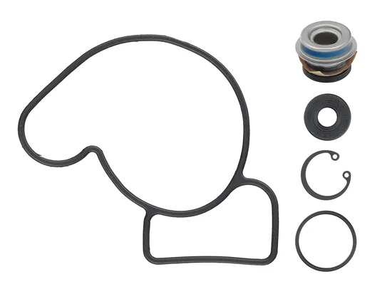 SP1 Water Pump Repair Rebuild Kit