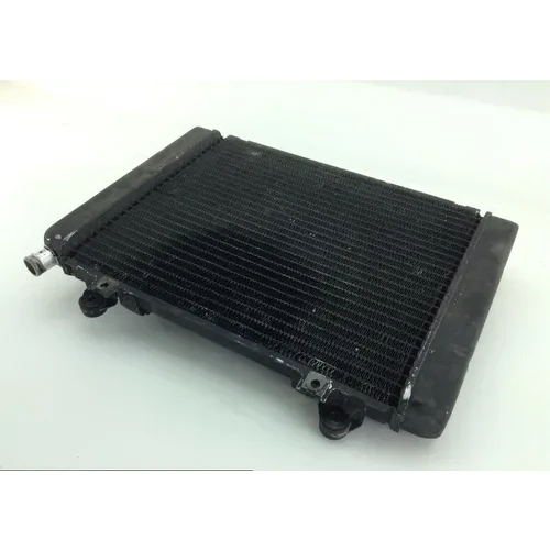 Engine Radiator Cooling 2005 Kawasaki Brute Force 650 KVF650E 4x4 1170 3