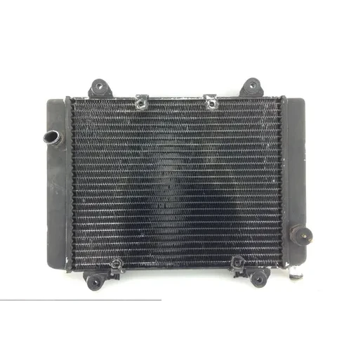 Engine Radiator Cooling 2005 Kawasaki Brute Force 650 KVF650E 4x4 1170 6