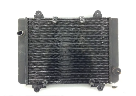 Engine Radiator Cooling 2005 Kawasaki Brute Force 650 KVF650E 4x4 1170