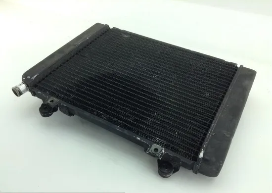 Engine Radiator Cooling 2005 Kawasaki Brute Force 650 KVF650E 4x4 1170