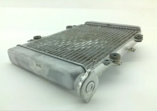 Engine Radiator Cooling 2008 Kawasaki KFX450R 1209
