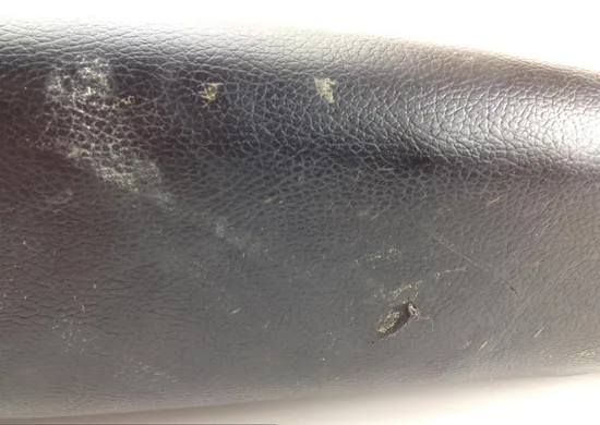 Left Side Driver Seat Back Cushion 2013 Polaris RZR XP 900 LE EPS 1236 x