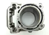 Engine Cylinder Jug Front 2008 Can-Am Renegade 800 4x4 X HO EFI 1268