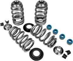 Feuling Endurance Beehive Valve Spring Kit w Titanium Retainers