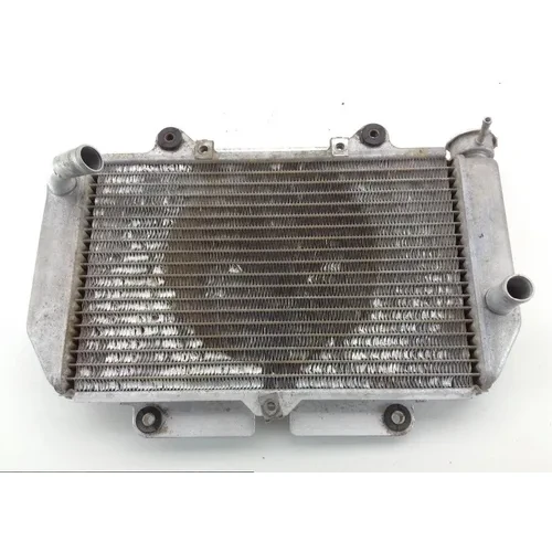 Engine Radiator Cooling 2006 Yamaha YFZ450 1271A x 10