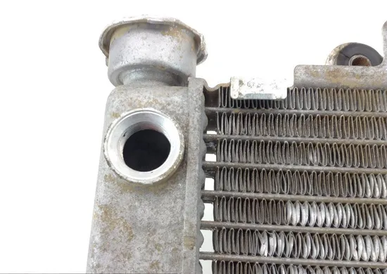 Engine Radiator Cooling 2006 Yamaha YFZ450 1271A x