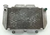 Engine Radiator Cooling 2006 Yamaha YFZ450 1271A x