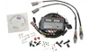 Daytona Wego III Wide-Band Air-Fuel Ratio Monitoring System Dual