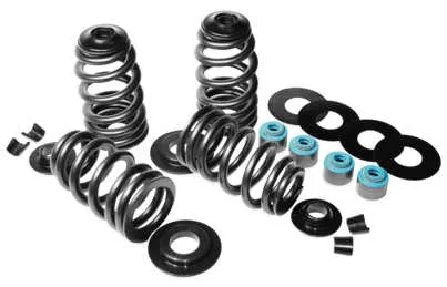 Feuling Beehive Valve Spring Kit