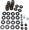 Feuling Beehive Valve Spring Kit