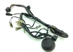 Head Light Harness 2005 Ducati SuperSport 800ss 1280
