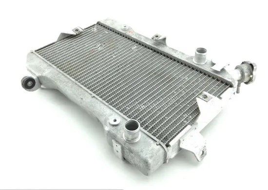 Engine Radiator Cooling 2006 Suzuki Quadracer 450 LTR450 2x4 1303 x