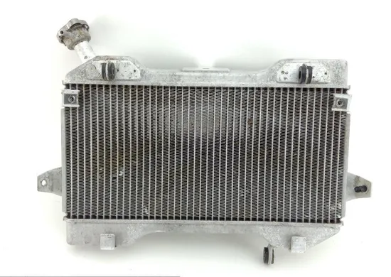 Engine Radiator Cooling 2006 Suzuki Quadracer 450 LTR450 2x4 1303 x