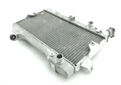 Engine Radiator Cooling 2006 Suzuki Quadracer 450 LTR450 2x4 1303 x