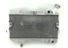 Engine Radiator Cooling 2006 Suzuki Quadracer 450 LTR450 2x4 1303 x