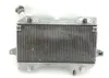 Engine Radiator Cooling 2006 Suzuki Quadracer 450 LTR450 2x4 1303 x