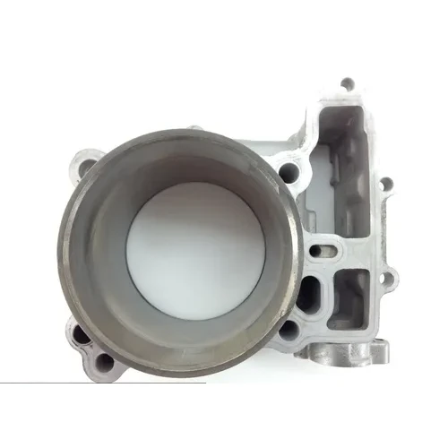 Engine Cylinder Jug W Piston Front 2005 Suzuki Vstrom 1000 DL1000 1318 12
