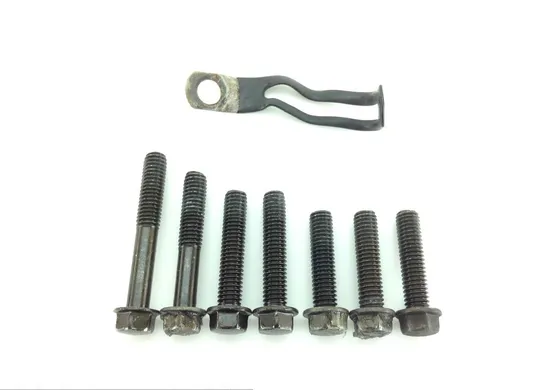 Engine inner Stator Generator Cover 1999 Kawasaki Vulcan 1500 Classic 1323