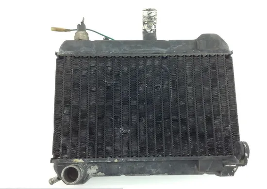 Engine Radiator Cooling 1988 Honda GL1500 Goldwing GL 1500 x