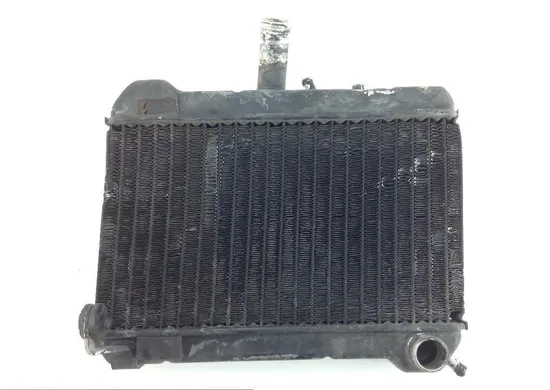 Engine Radiator Cooling 1988 Honda GL1500 Goldwing GL 1500 x