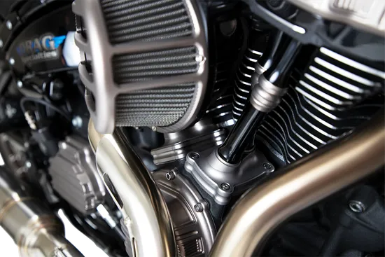 Arlen Ness Billet 10 Gauge Lifter Tappet Block Cover Titanium